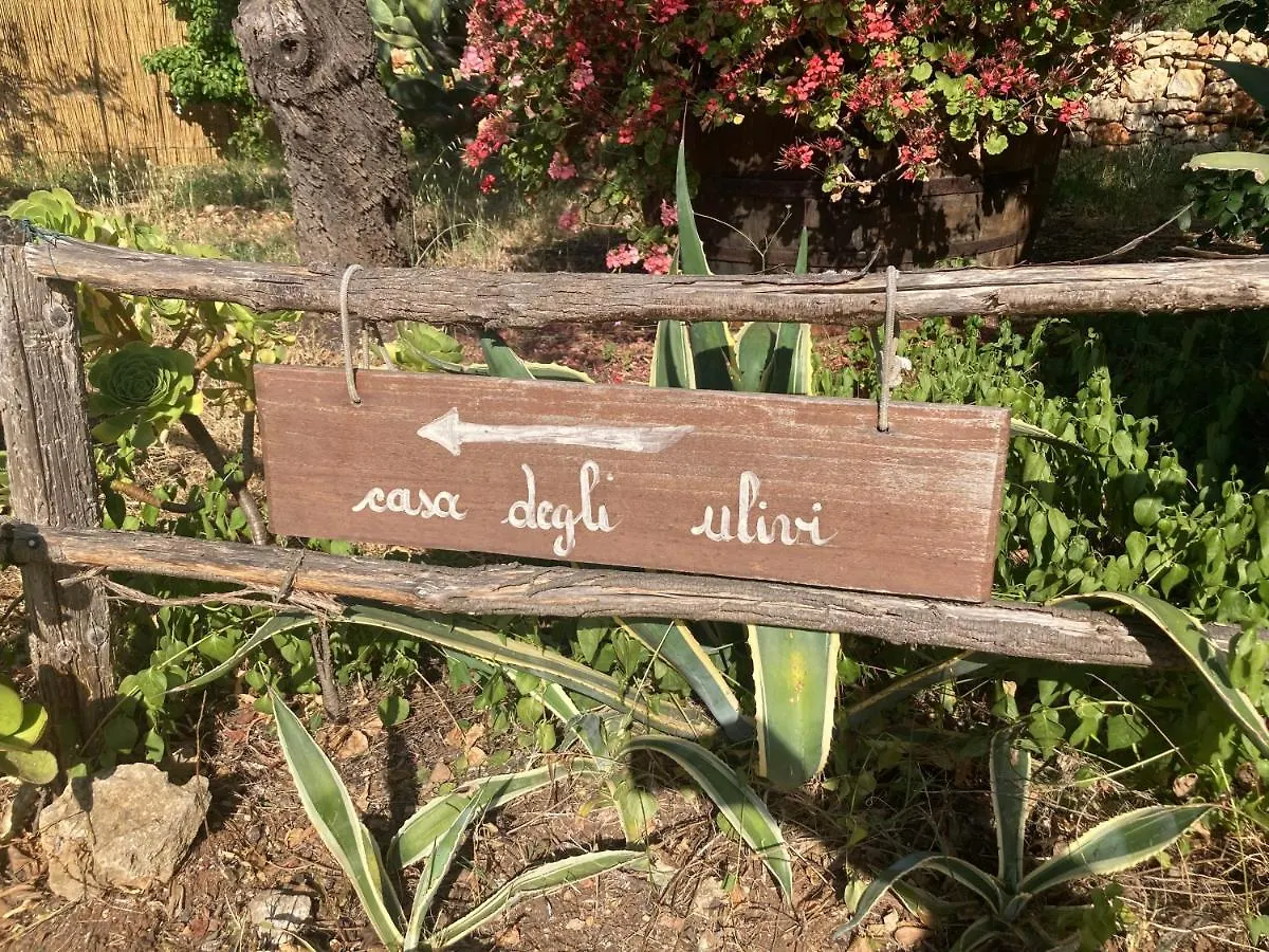 Villa Casa Degli Ulivi 21 à Castellammare del Golfo Hébergement de vacances